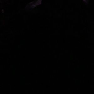 Meet your Posher, Edson